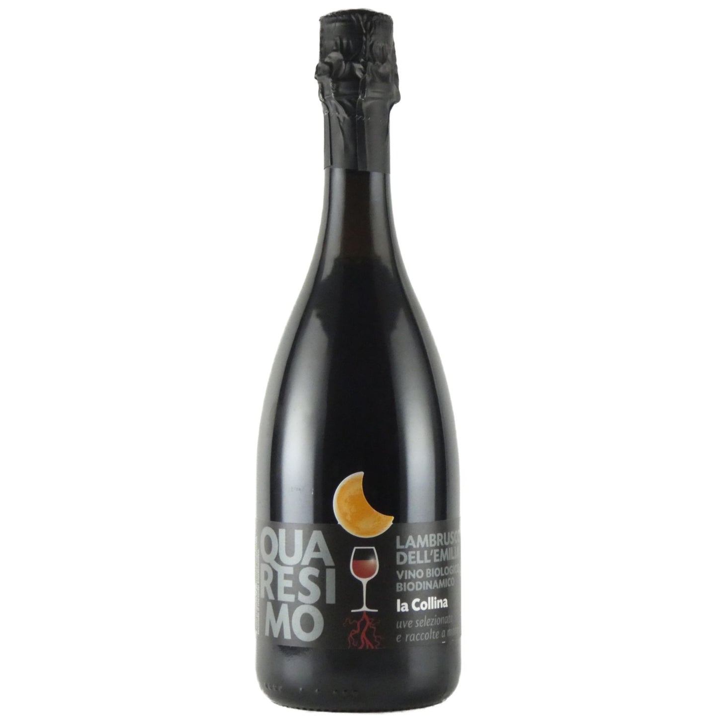 ラ コッリーナ クアレージモ ランブルスコ デッレミーリア 750ml 微発泡赤ワイン イタリア エミリア・ロマーニャ