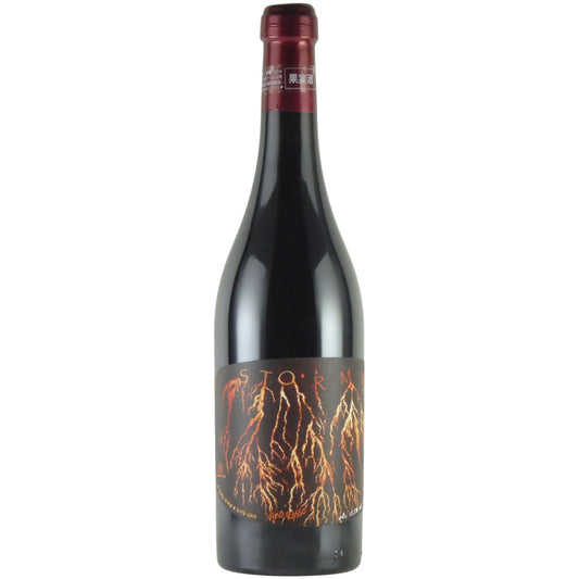 パーネヴィーノ ストーム ヴェンティ ヴェンティ L RA20 イタリア 赤ワイン 750ml