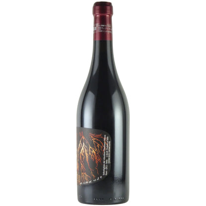 パーネヴィーノ ストーム ヴェンティ ヴェンティ L RA20 イタリア 赤ワイン 750ml