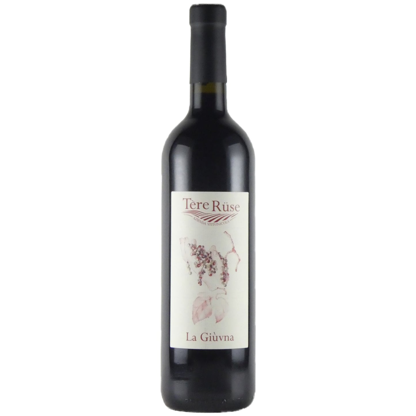 テレ ルーゼ ラ ジュヴナ ヴィノ ロッソ 2019 イタリア 赤ワイン 750ml